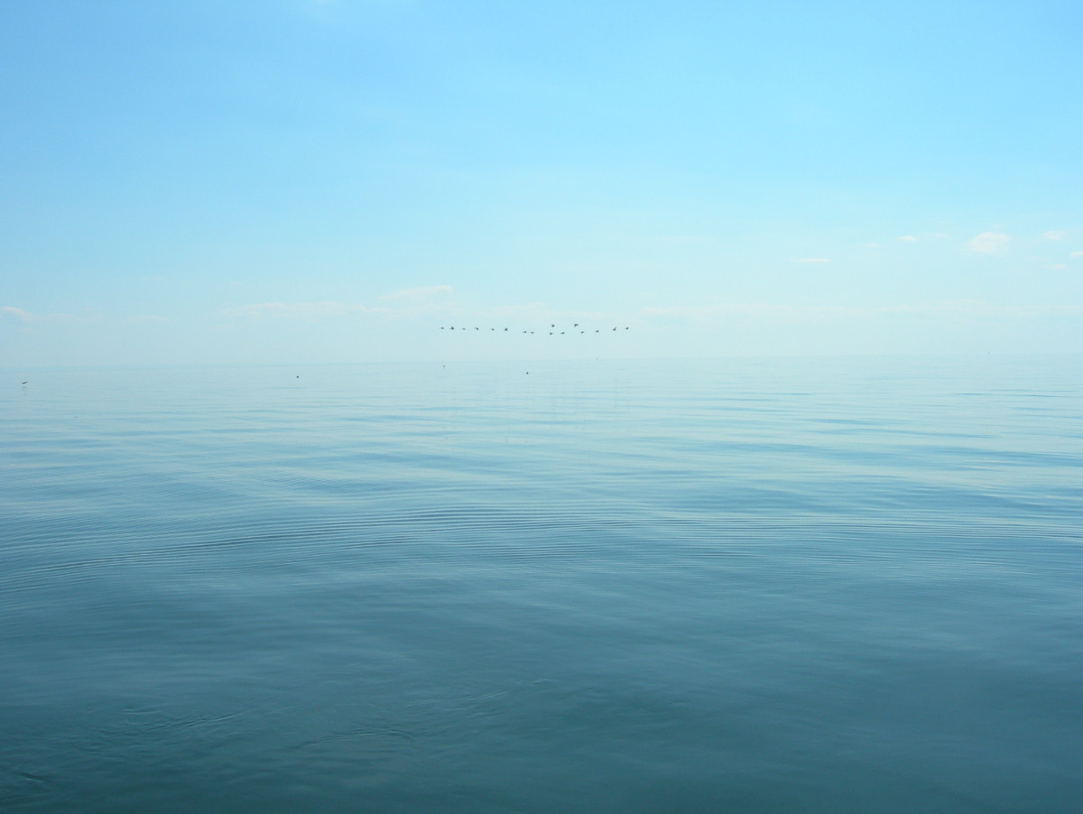 Bleu sur bleu sur le site d’ARTactif