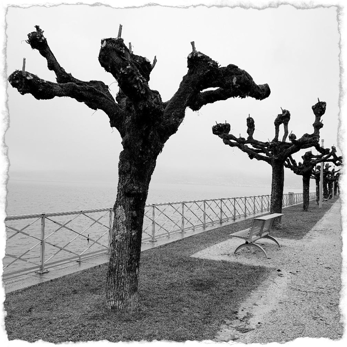 Gloomy dance sur le site d’ARTactif