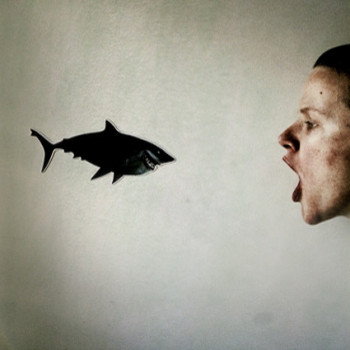 Named contemporary work « Haiku du requin », Made by SARAH LOUETTE
