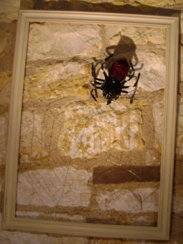 Named contemporary work « spider », Made by SéBASTIEN DUBOISSET