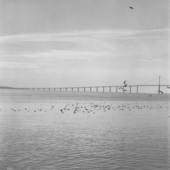 PONT DE SAINT NAZAIRE 1 On the ARTactif site