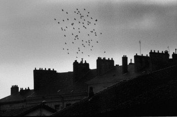 LES TOITS DE NANTES On the ARTactif site