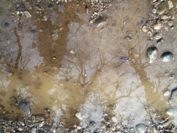 Named contemporary work « reflet 8 », Made by SYLVIE RABATEL