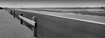 L'ALLÉE JACOBSEN ÎLE DE NOIRMOUTIER On the ARTactif site