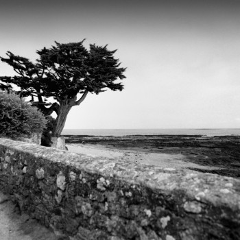 PLAGE DES CHEVRETTES NOIRMOUTIER On the ARTactif site