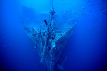 ÉTRAVE DU THISTLEGORM On the ARTactif site