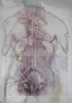 Named contemporary work « anatomie IV-volte », Made by JELENA REMETIN