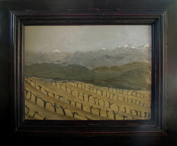 Named contemporary work « Vigne d'Aléria », Made by ASCOPA