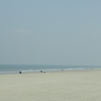 PROMENADE SUR LA PLAGE 2(trouville) On the ARTactif site