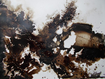 Named contemporary work « Encre de chine - brou de noix (2a) », Made by MARTINE MOREAU