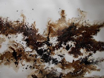 Named contemporary work « Encre de chine -brou de noix (3a) », Made by MARTINE MOREAU