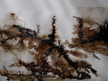 Named contemporary work « Encre de chine -brou de noix (5a) », Made by MARTINE MOREAU