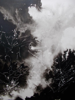 Named contemporary work « Encre de chine (4b) », Made by MARTINE MOREAU