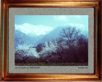 Catalogne nord, le Canigou au printemps 1982 On the ARTactif site