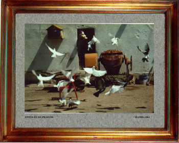 1983 Envol de pigeons On the ARTactif site