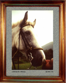 1987 Un amour de cheval On the ARTactif site