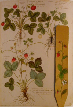 marque page fraise des bois On the ARTactif site