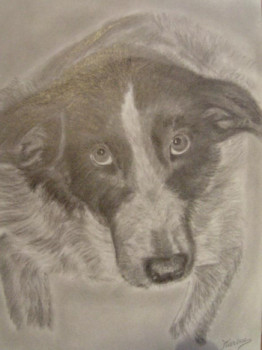 Named contemporary work « chien », Made by KATATTOO28