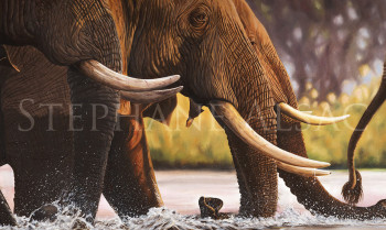 Named contemporary work « "Elephants Crossing" », Made by STéPHANE ALSAC