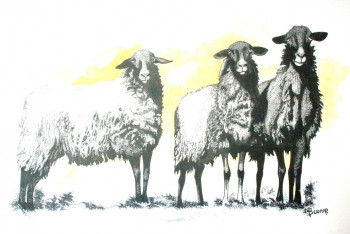 Named contemporary work « MOUTONS NOIRS », Made by SANDOR SHOMI