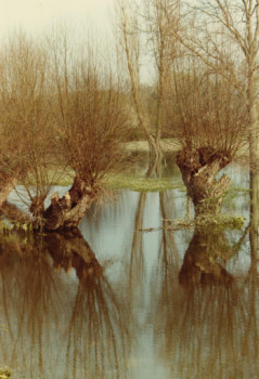 Named contemporary work « Réflexions sur Seine », Made by ADRIENNE JALBERT