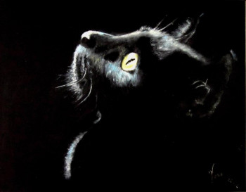 Named contemporary work « CHAT NOIR », Made by VERA