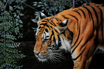 Named contemporary work « Tigre -  40 x 60 cm , hyperrealism, photorealism wild life, wild animal , realistic, wild cat tiger  », Made by ELENA DMITRENKO