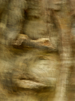 Named contemporary work « Tronc d'arbre..... », Made by PHILIPPE BERTHIER