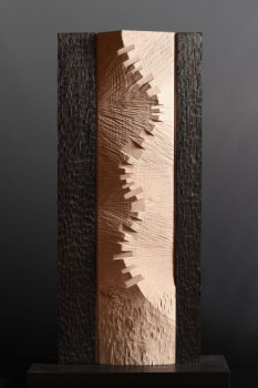 Named contemporary work « DUNE I », Made by NILS ORM