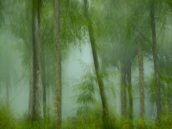 Named contemporary work « Arbres dans la brume........... », Made by PHILIPPE BERTHIER