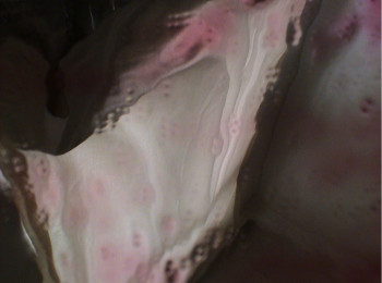 Named contemporary work « the slime », Made by DAVID SROCZYNSKI