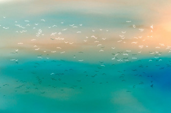 Named contemporary work « Sky Reflection », Made by VéRONIQUE ERRERA