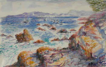 Named contemporary work « sur le "chemin des douaniers" à Toulon », Made by AMALIA MEREU