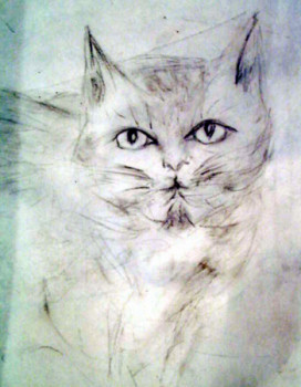 Named contemporary work « Croquis d'un chat », Made by MITRA SHAHKAR