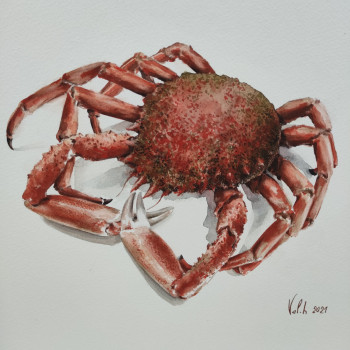 Named contemporary work « Araignée de mer », Made by VAL.H