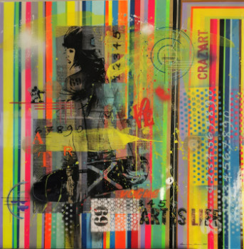 Named contemporary work « SKATE », Made by CRAZYART DOMINIQUE DOERR