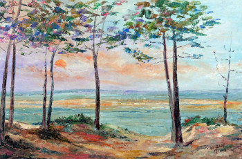 Named contemporary work « Arcachon soleil couchant sur le ban d'Arguin », Made by MICHEL HAMELIN