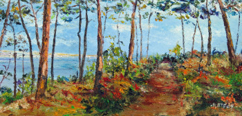 Named contemporary work « Arcachon entre Le Moulleau et le Pilat », Made by MICHEL HAMELIN