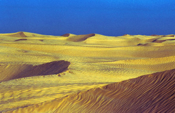 Named contemporary work « Dune dorées du Sahara. », Made by DOMINIQUE LEROY