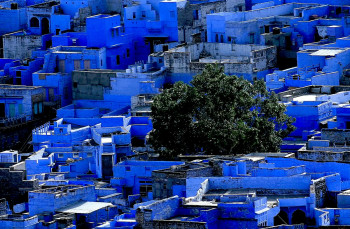 Named contemporary work « Jodhpur la ville bleu. Inde », Made by DOMINIQUE LEROY