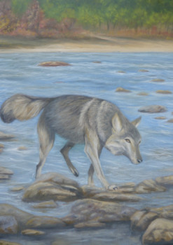 Named contemporary work « "Loup solitaire.." », Made by MARC DANCRE