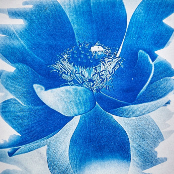 Named contemporary work « Lotus bleu », Made by MAG