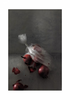 Named contemporary work « les oignons rouges », Made by CLAUDIA ALBISSER HUND