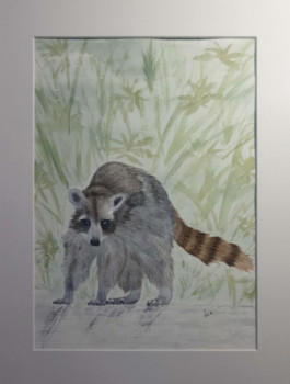 Named contemporary work « The raccoon », Made by MIHA