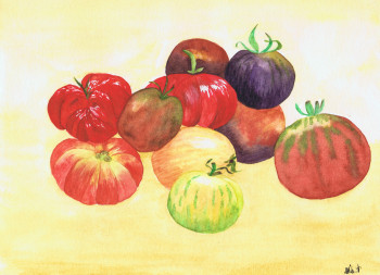 Named contemporary work « Variété de tomate », Made by MIHA