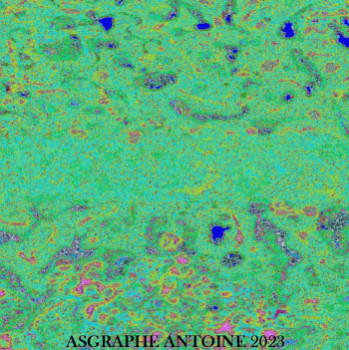 Named contemporary work « SIGNES  ET  SYMBOLES  N4  _  VARIATIONS  DE  COULEURS  ET  DE  FORMES  100X100 CM », Made by ASGRAPHE2023