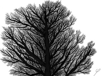 Named contemporary work « Arbre », Made by STYLOBICMICRON