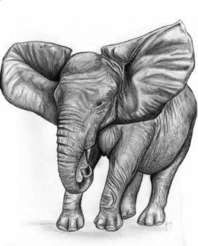 Named contemporary work « Elephant d'Afrique », Made by CHLOé YZOARD