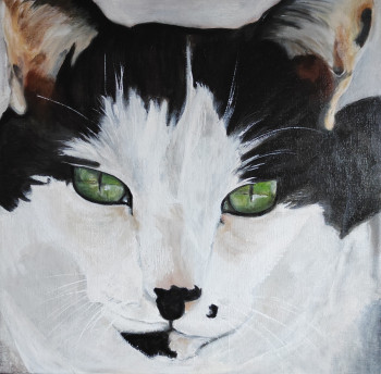 Named contemporary work « Portraits de chats », Made by DOM-L