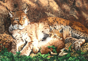 Named contemporary work « Lynx de sibirie », Made by JULIAN WHEAT